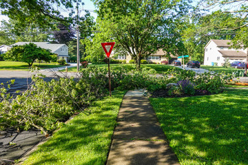 A large fallen tree branch creates sidewalk hazards as it blocks both a suburban sidewalk and road near a yield sign on a sunny day, with houses and green grass in the background.