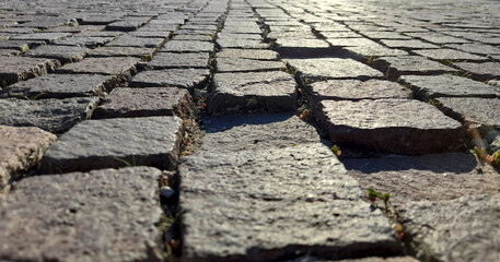 Close-up view of uneven cobblestone pavement, with gaps between the stones and small green plants growing in some spaces—a potential uneven flooring concern for premises liability in New Jersey. The photo is taken at ground level, facing toward the horizon.