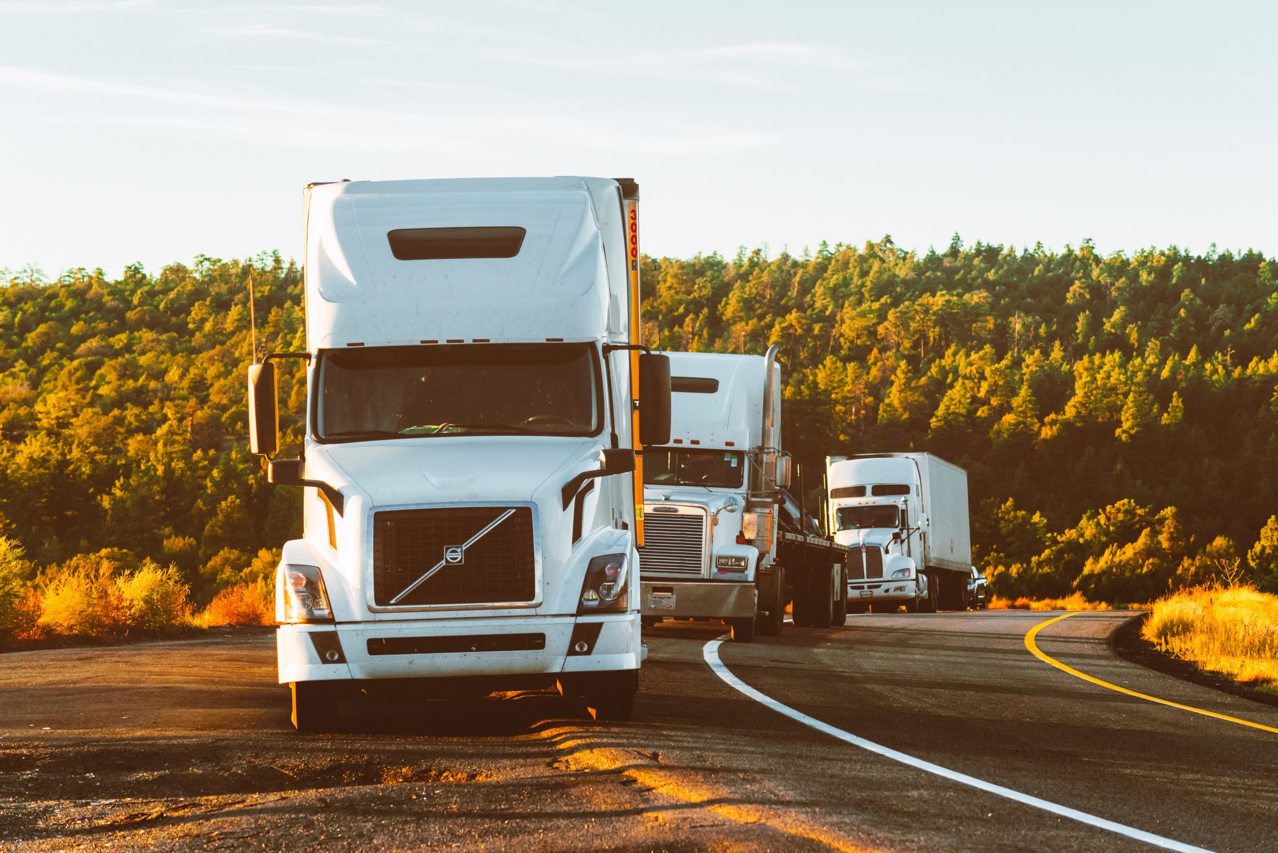 Three white semi-trucks, perhaps driven by New Jersey delivery drivers, are parked in a line on a highway shoulder, set against a backdrop of dense, sunlit trees. The road curves to the right under the clear sky, suggesting a bright day.